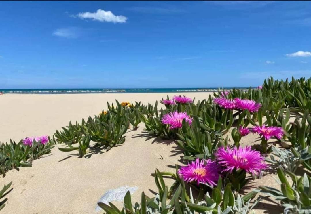 אלקאמו מרינה Marea Il Tuo Angolo Di Paradiso In Sicilia Ti Aspetta Prenota Ora E Vivi La Magia Del Mediterraneo מראה חיצוני תמונה